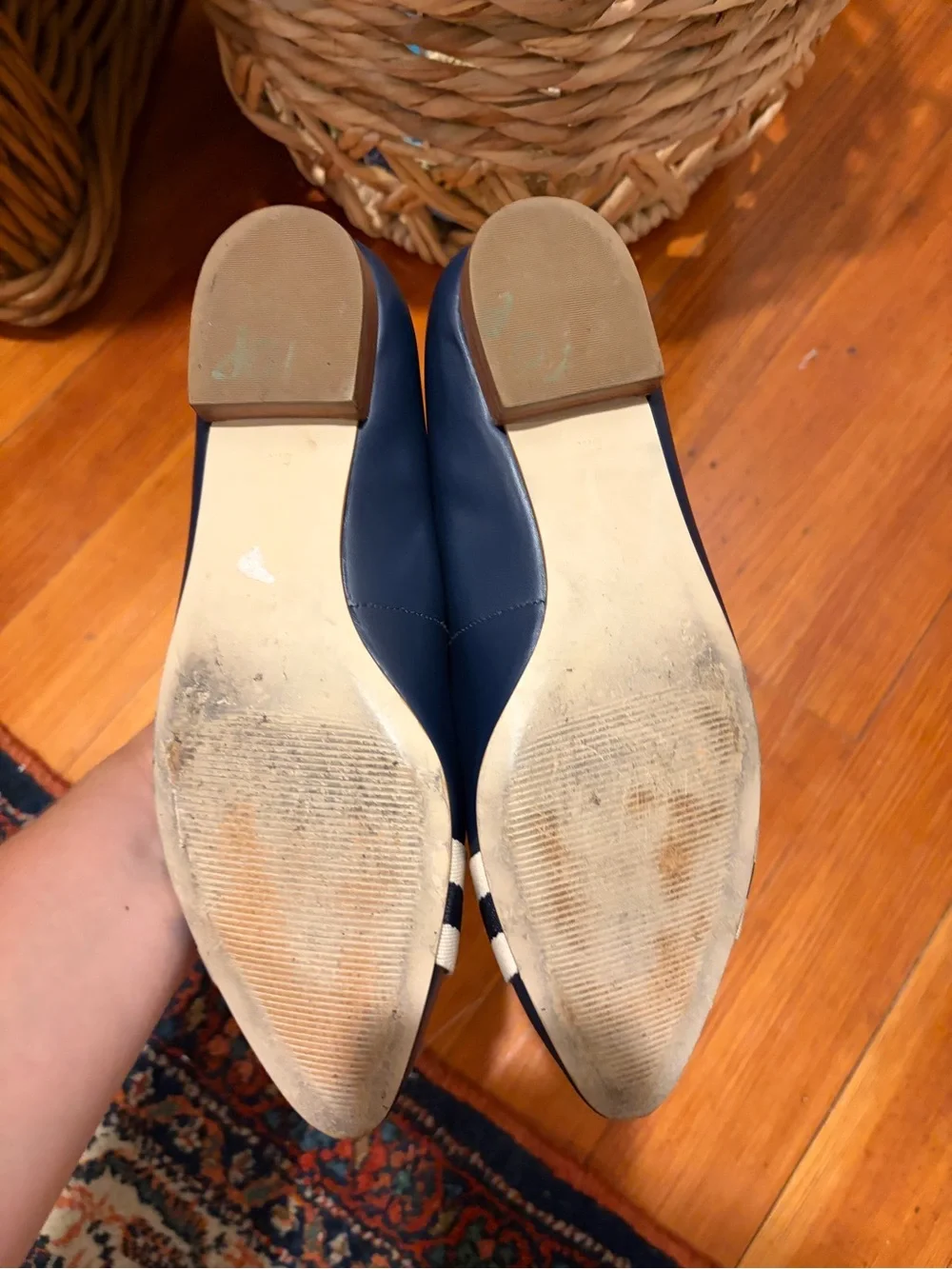Talbots Navy Pointed-Toe Flats with Striped Ribbon and Gold Buckle